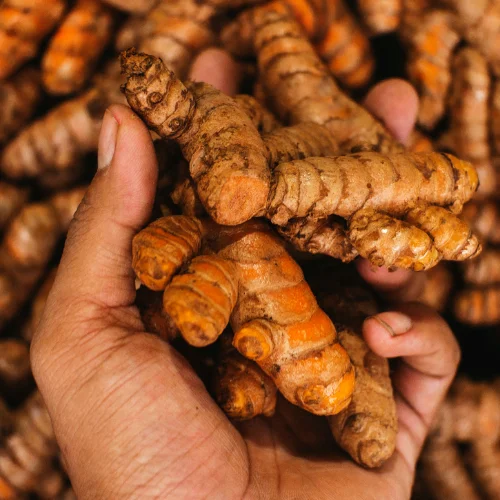 Turmeric